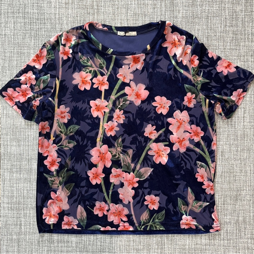 Zara Trafaluc Women’s Top Size Small‎ Blue Pink Floral Velour Short Sleeve Shirt